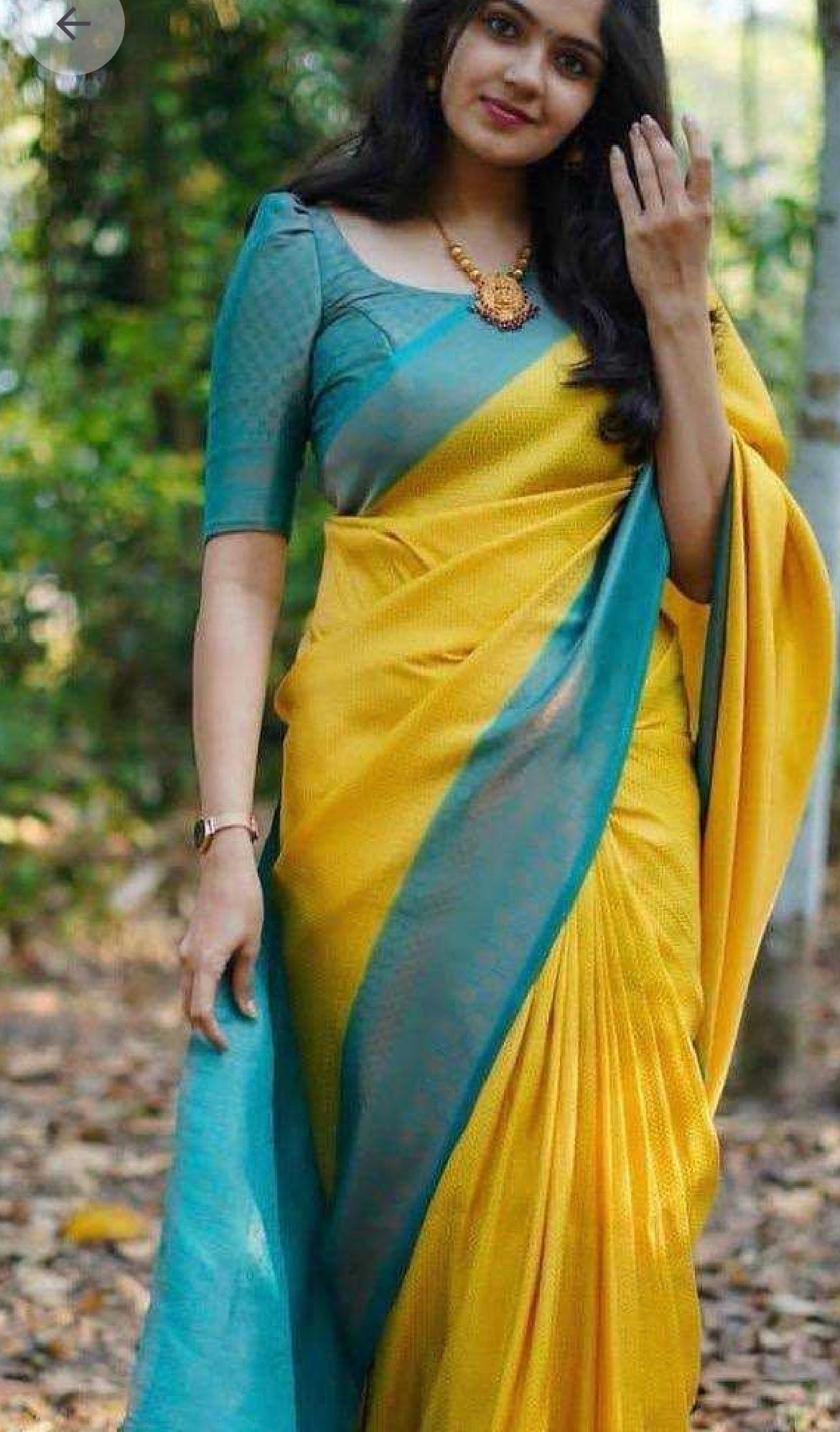 Riwaayat Litchi Silk Saree